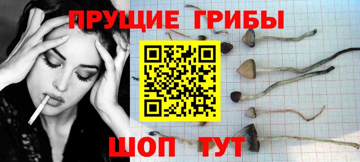Галлюциногенные грибы мухоморы Тихвин