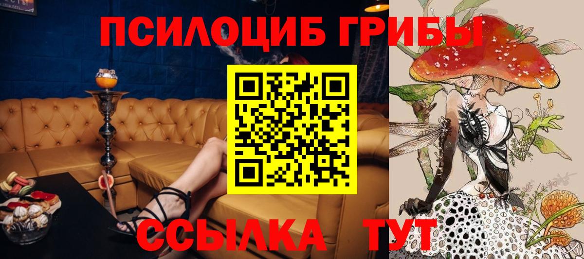 Тихвин  Галлюциногенные грибы Psilocybine cubensis  Псилоцибиновые грибы Magic Shrooms  Вход с VPN 